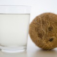 L'acqua di cocco supera gli energy drink  Un concentrato di potassio e benessere